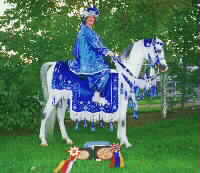 Arabian Native Costumes
