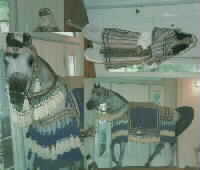 Blue and tan costume